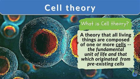 what is cell theory explain in detail