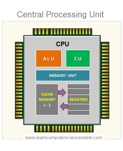 what is central processing unit short answer