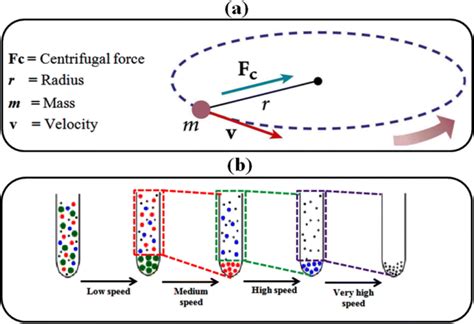 What Is Centrifugal Force In Centrifugation