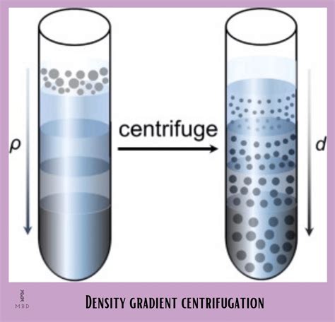 What Is Centrifugation Based On