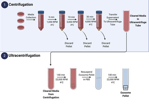 What Is Centrifugation Protocol