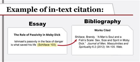 what is citation in project