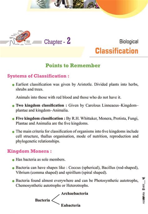 what is class in biology class 11 notes