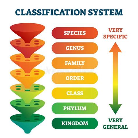 what is class in classification