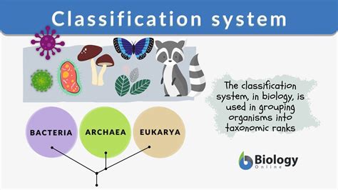 what is classify definition