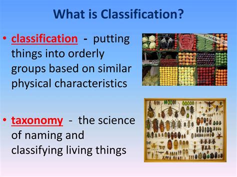 what is classifying