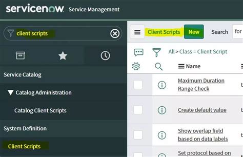 what is client scripts in servicenow