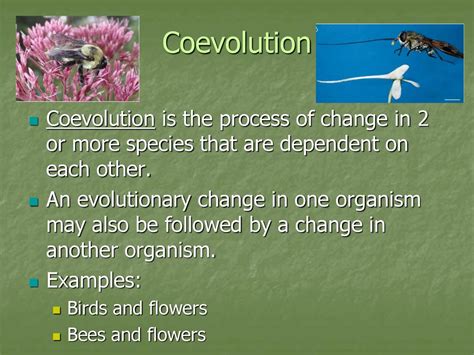 what is coevolution and how does it work