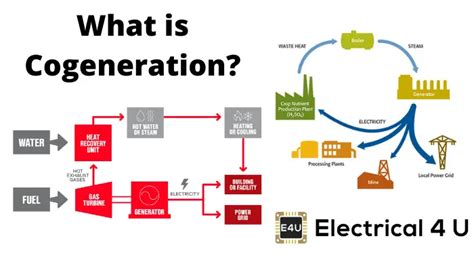 what is cogeneration examples