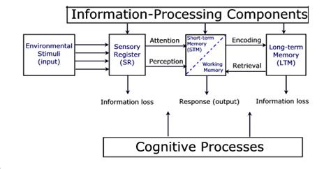 what is cognitive information processing theory
