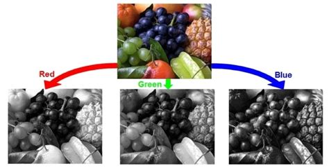 what is color image in digital image processing
