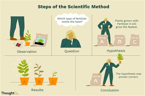 what is commonly the second step of the scientific method