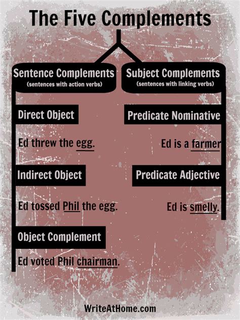 what is complementary in a sentence