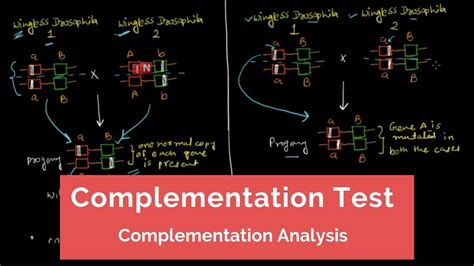 what is complementation analysis