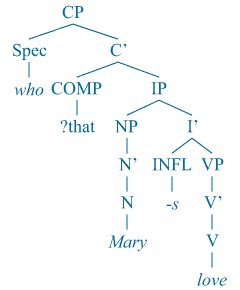 what is complementizer in syntax
