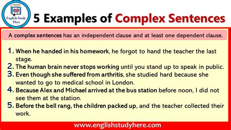 what is complex sentence and examples