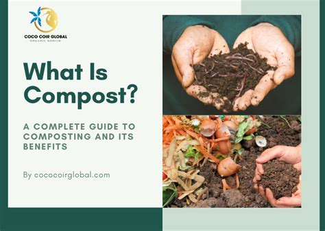 What Is Composting Definition