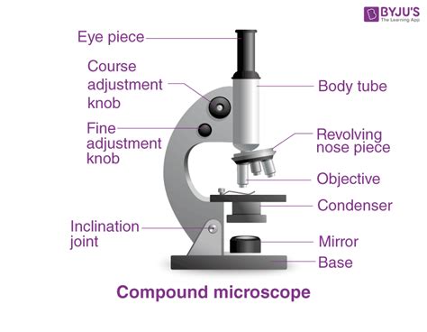 What Is Compound Microscope Used For