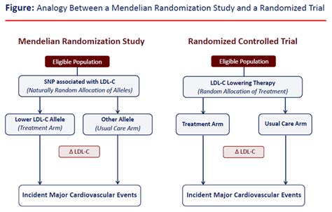 What Is Concealed Randomization