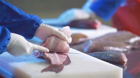 What Is Considered Fish Processing