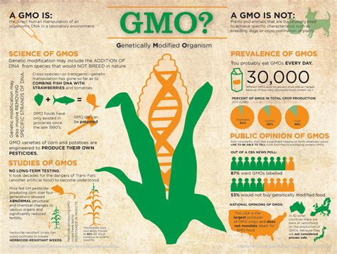 what is considered gmo