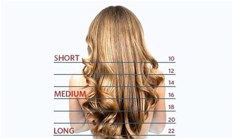 Fresh What Is Considered Short Medium And Long Hair With Simple Style