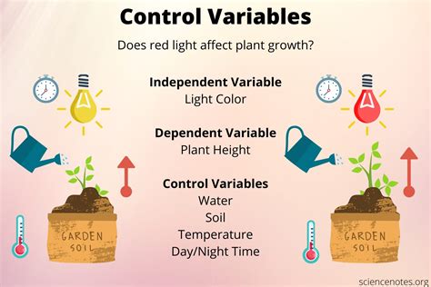 what is control variable in research with example