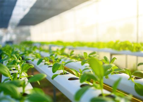 What Is Controlled Environment In Science