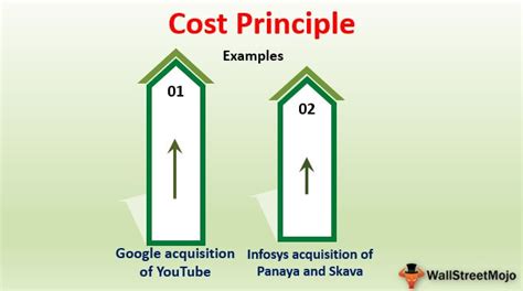 What Is Cost Principle And Example
