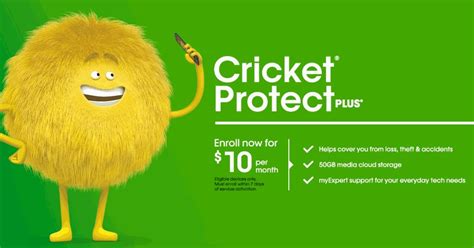 What Is Cricket Protect Plus
