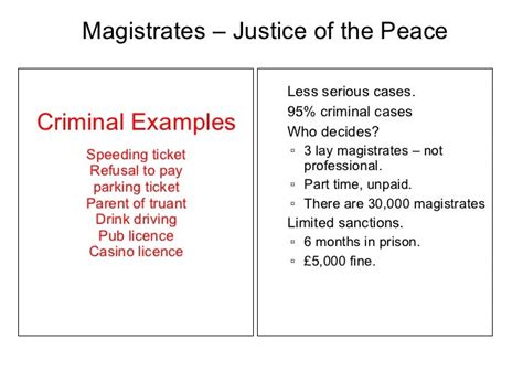 what is criminal case examples