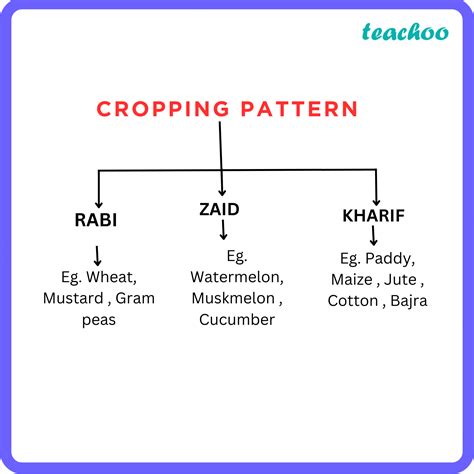 what is cropping pattern in simple words