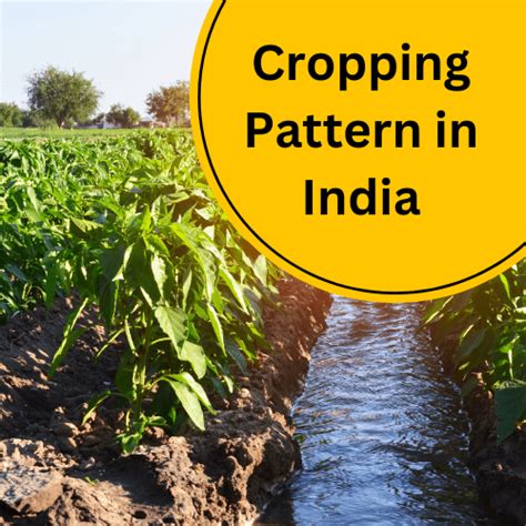 what is cropping pattern upsc