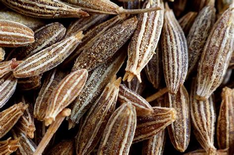 What Is Cumin And Where Does It Come From