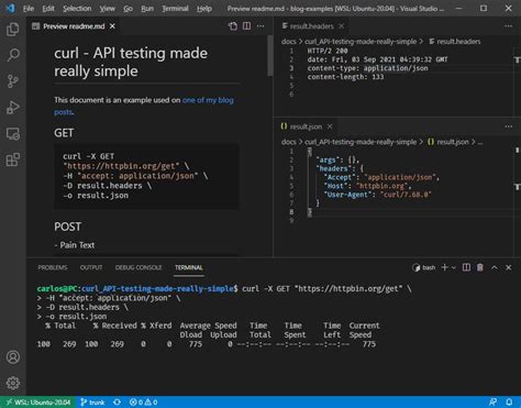 what is curl in api