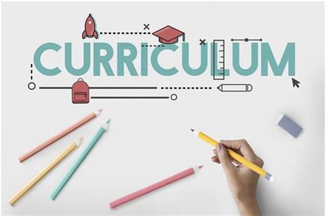 what is curriculum study in education