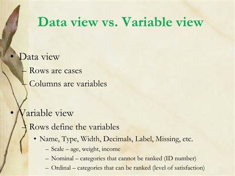 What Is Data View And Variable View