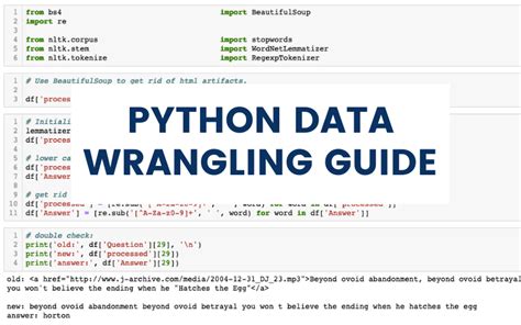 what is data wrangling in python
