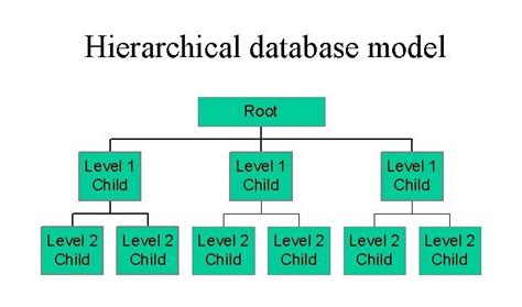 what is database hierarchy