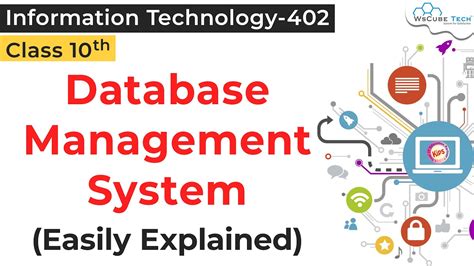 what is database management system class 10 notes