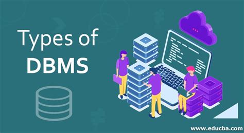 what is dbms and what types of dbms do you know