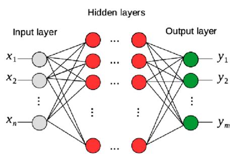what is deep feed forward network in deep learning