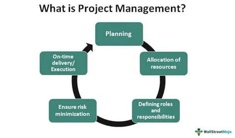 what is define in project management