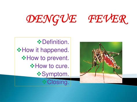 what is dengue fever ppt