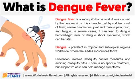 what is dengue meaning