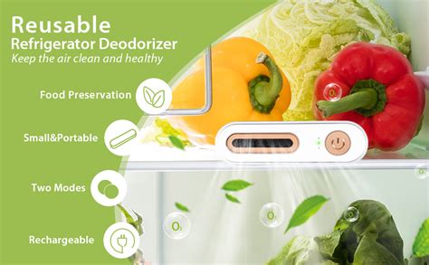 What Is Deodorizer In Refrigerator