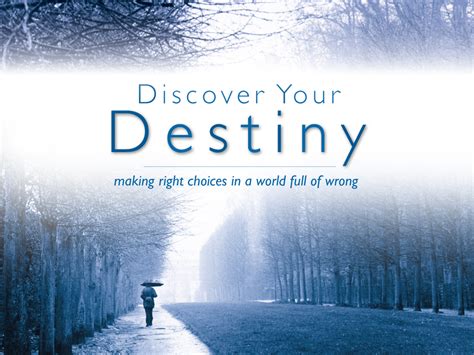 what is destiny discover