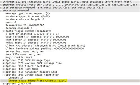 what is dhcp client identifier