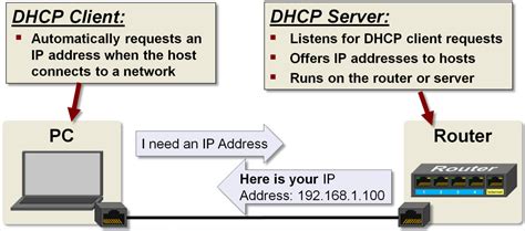 what is dhcp client service