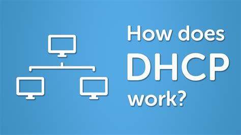 what is dhcp mean in computer